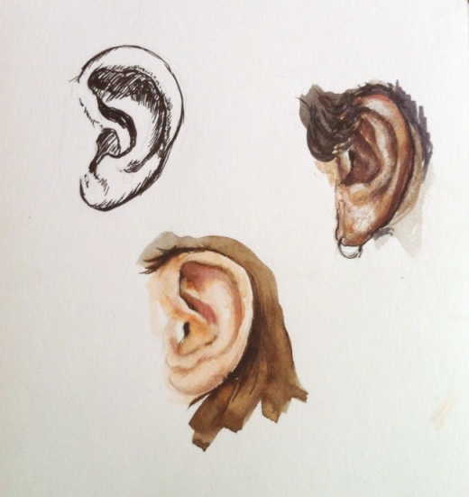 Drawings of the ear