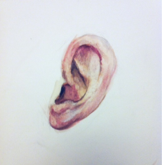 Ear study in watercolor